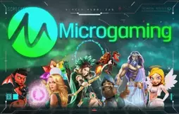 Micro Gaming